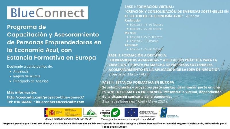 blueconnect_emprendimiento_azul
