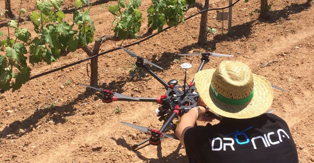 dronicaagricultura4002_forCrop