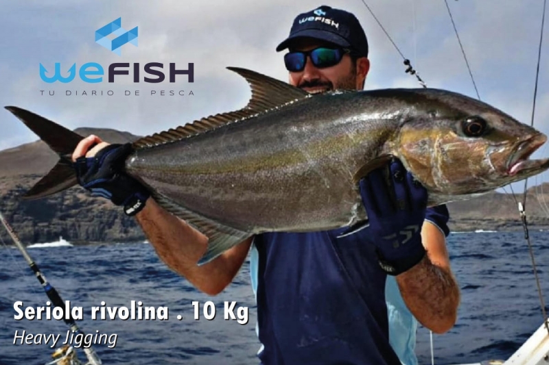 wefish-escalado-800x533